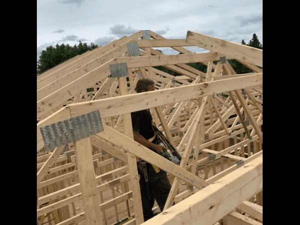 Timber roof framing showing the structure of a residential build